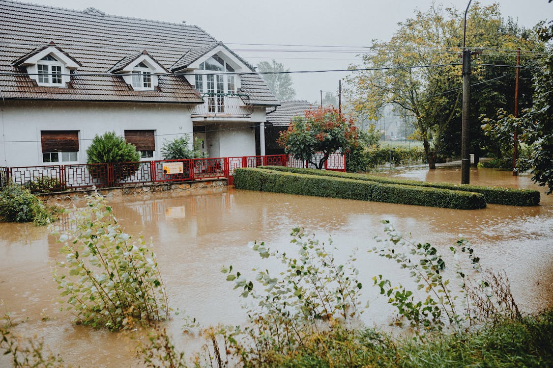 What to Do When Your Basement Is Flooding